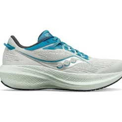Saucony Dames Triumph 21 Mist / Ink|Dames Neutraal